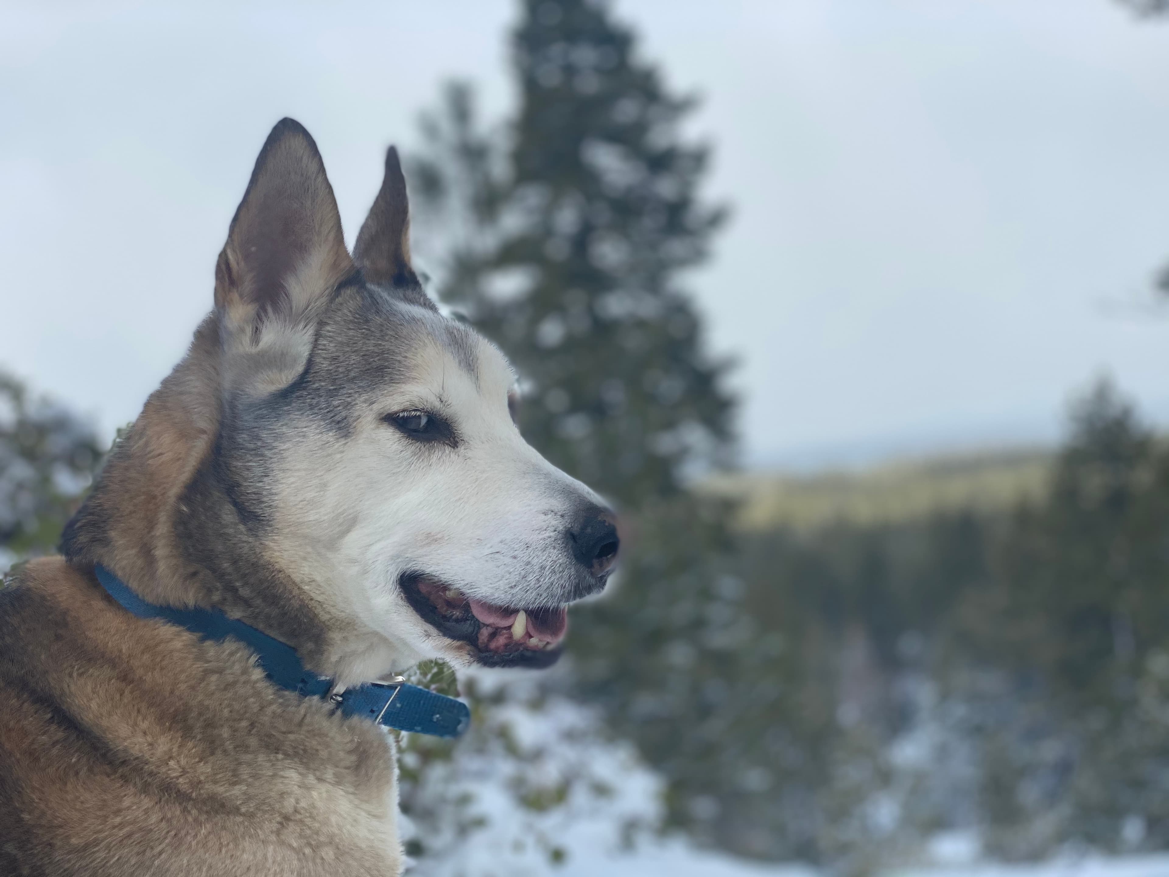 She turned 14. We made it a thing.