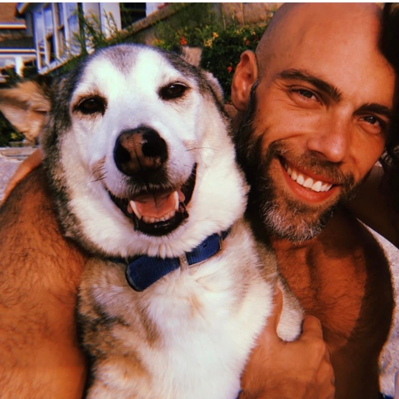 Pet transformation example 1 - Before photo